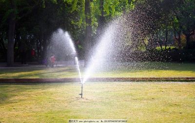 城市心臟的靈動樂章 公園噴泉的視覺盛宴